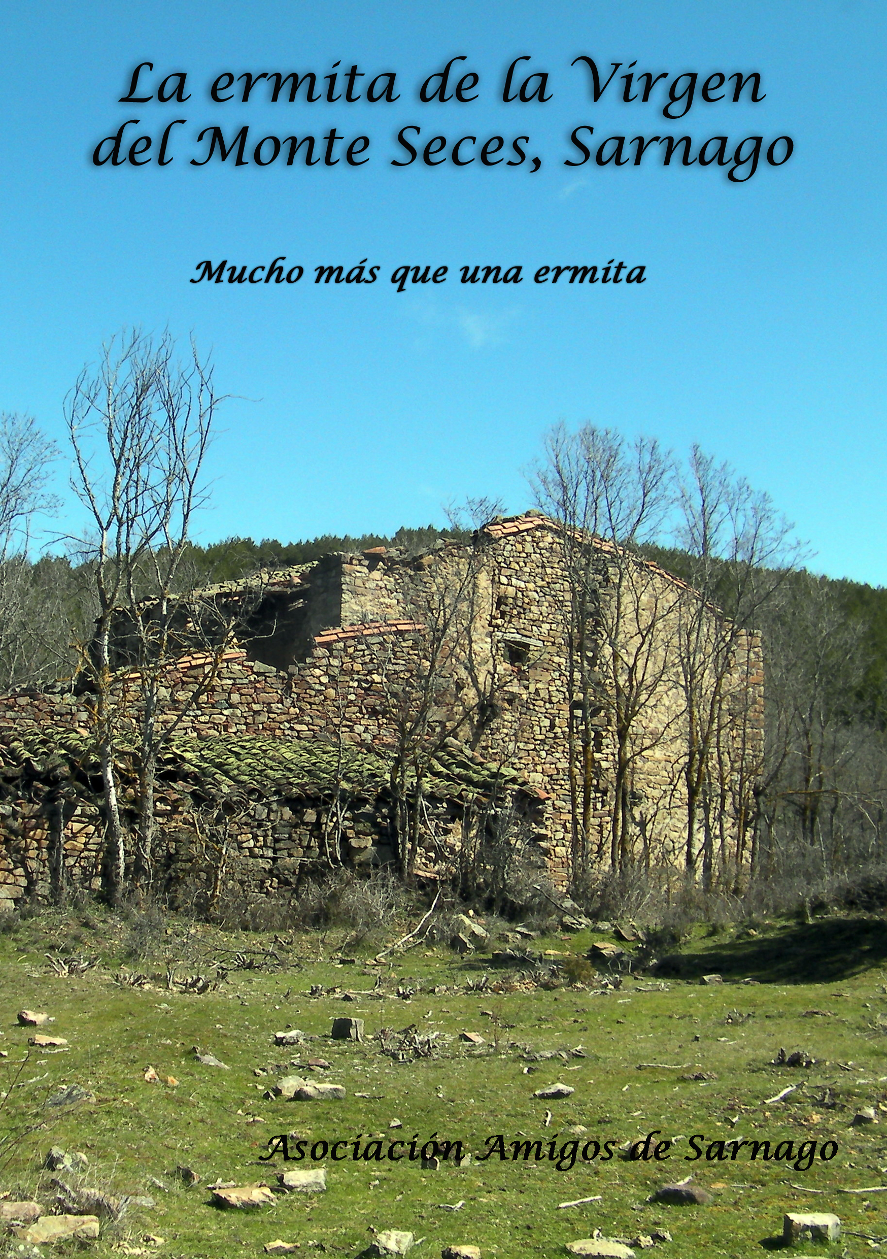 Portada Virgen del monte