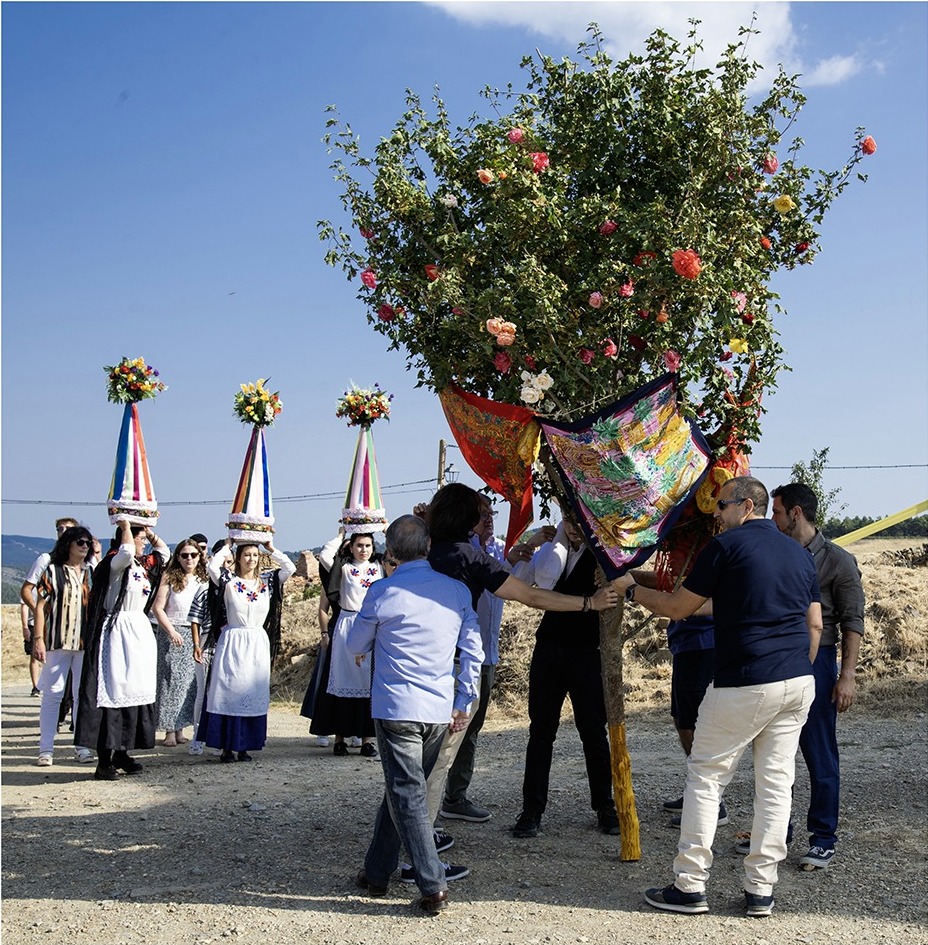 WhatsApp Image 2025-09-09 at 09.10.01 (2)